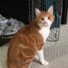 ダイバー引退しました 的头像