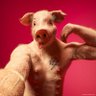 Ramon Canudas's profile picture