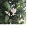 sky profil fotoğrafı