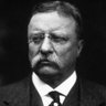 Profilbild von Theodore Roosevelt