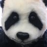 angel4u's profile picture