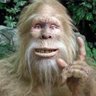 herate jean-marc profil fotoğrafı