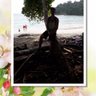 vj_vkm's profile picture