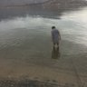 Eli 的头像