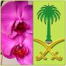 منــار الرياض's profile picture