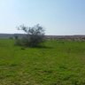 Фото профиля شاكر الخليفه