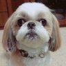 餓狼 profil fotoğrafı
