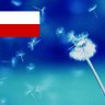 Filip Poniatowski's profile picture