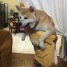 中川かのん 的头像