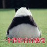 夜隐归心's profile picture