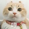 ShowLO731's profile picture