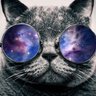 Zachary Kelsey's profile picture