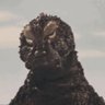 Godzilla 的头像