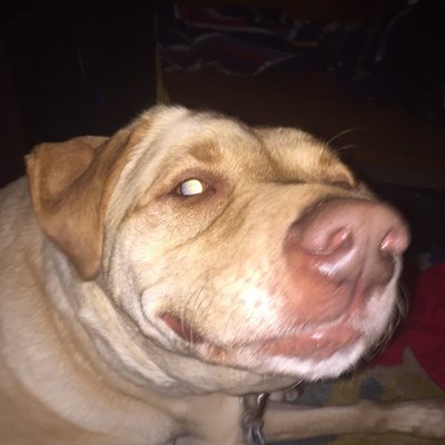THEMOSTLUCKYMAN's profile picture