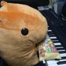 がっでむ's profile picture