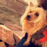 Claudia profil fotoğrafı