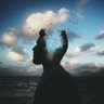تايه آڤندي 的头像