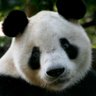 Michelle Barbridge ๐บ๐ธ ๐ธ's profile picture