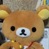 くまのおじさん!®︎'s profile picture