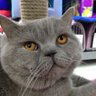 Patipati's profile picture