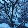 glenridge 🇨🇦🇺🇦's profile picture