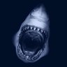Nigel Gotty's profile picture