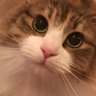 さんちゃん 的头像