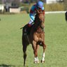 ジローカモ(ELONモーデル)'s profile picture