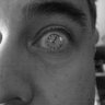 Profilbild von The Horror Guys