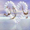 Profilbild von أُم عبدالرحمن . . ♕