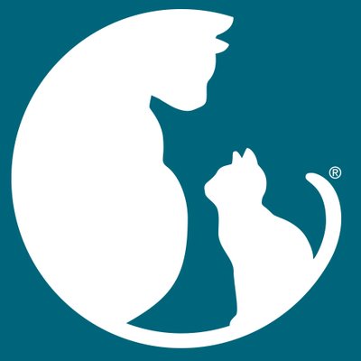 alleycatallies's profile picture