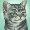 Succapedia's profile picture