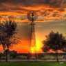 Texas Gal profil fotoğrafı