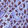 Profilbild von Crochet Crafter