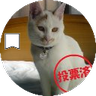 Profilbild von シマシマネコのママ 🌗💙💛🌈(人民。戦争反対。憲法改悪反対。卒原発。PCR検査拡充を)
