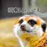 Profilbild von キム김