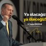 Cevahir27🇹🇷🇹🇷🇹🇷 的头像