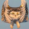 Profilbild von Chris 🦉