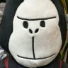 Profilbild von まつけん