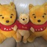 黄色いくまママ🐻まいまい♪ 的头像