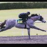 Фото профиля 5alid