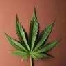 Фото профиля 木头羊