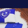 فيصل ال حسن ( الزعيم ) المدريدي profil fotoğrafı