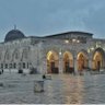 Фото профиля Mohammed Abdul-Jami Kalam