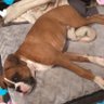 Angie 🧑‍🦯 RIP Liam ❤️🕊️ 的头像