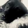 H Martínez de Castro profil fotoğrafı