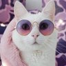 Lúcia profil fotoğrafı