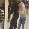 Corey B profil fotoğrafı