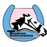 Thompson Thoroughbreds Australia's profile picture