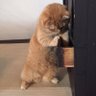 Фото профиля 猫二千